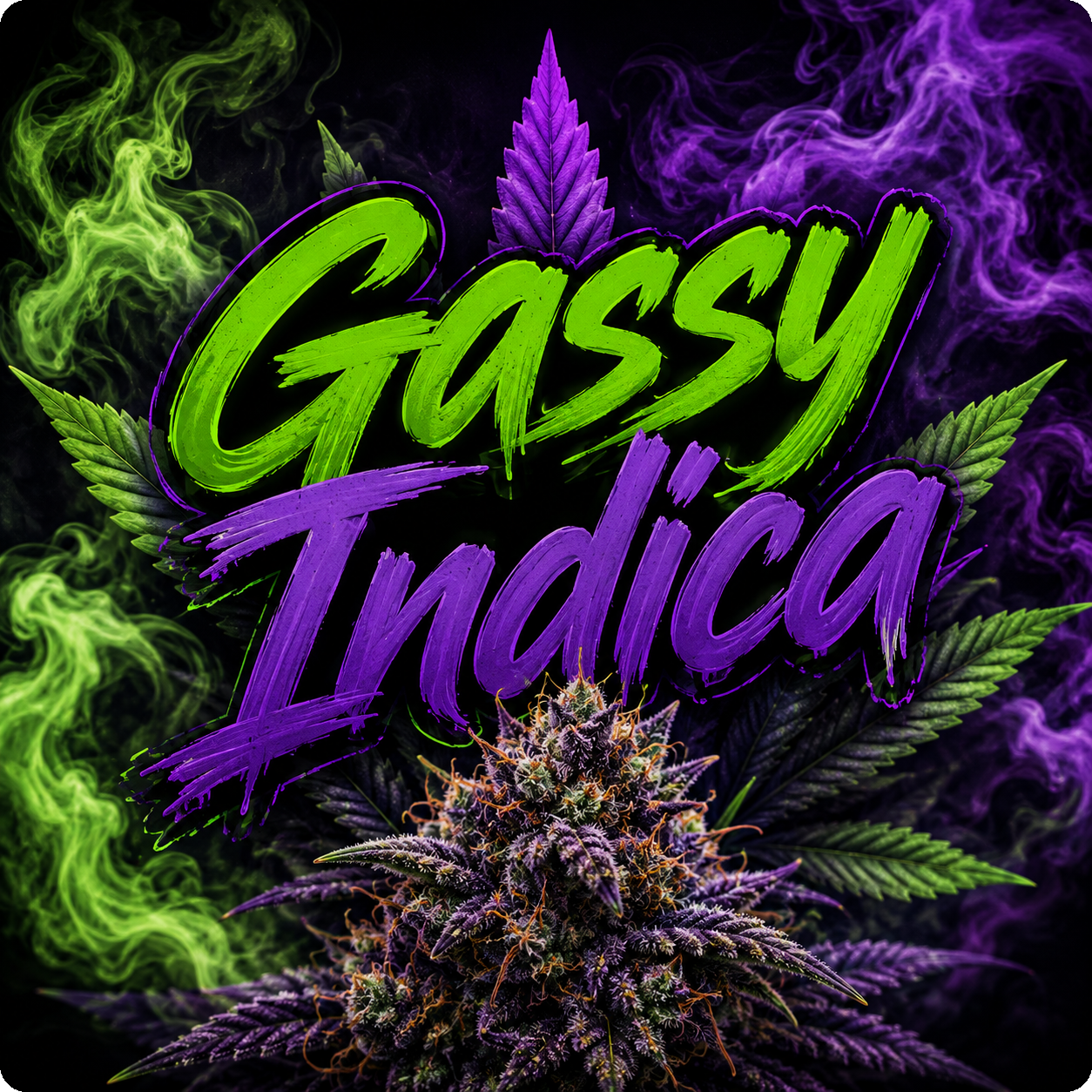 Gassy Indica