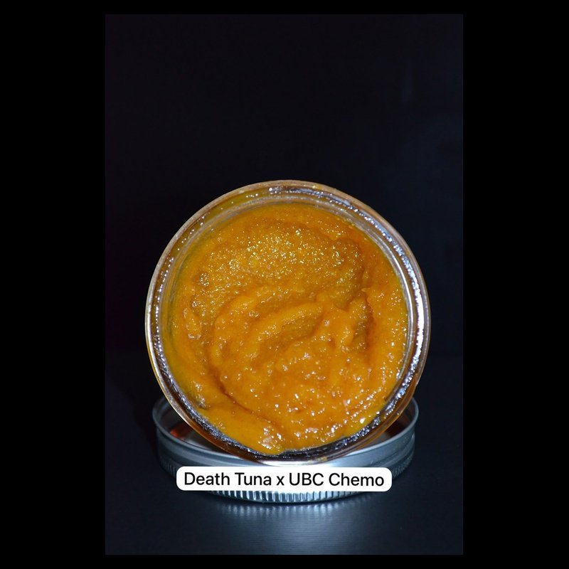 Death Tuna X UBC Chemo