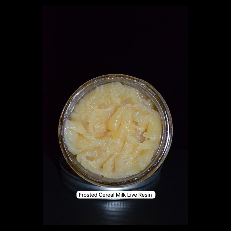 Forsted Cereal Milk Live Regin