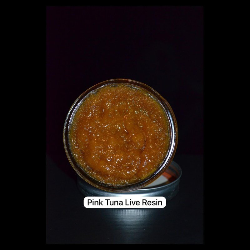 Pink Tuna Live Resin